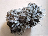 Specimen, Quartz Crystal Lazer Cluster on Galena