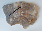 Rough Rock, Slab youngite