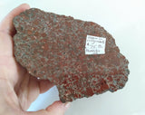 Rough Rock, copper in conglomerate face polish