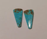 Cabochon, Turquoise pair