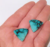 Cabochon, Turquoise pair