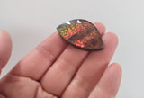 Cabochon, Ammolite